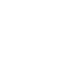 rv-300x300-1